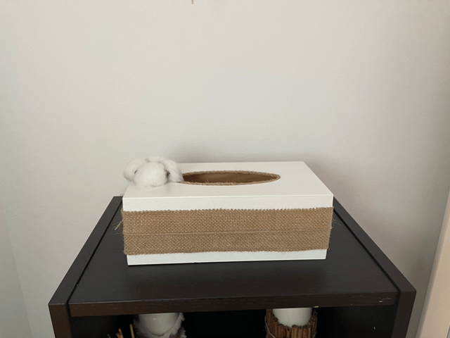 Boîte à mouchoirs 
